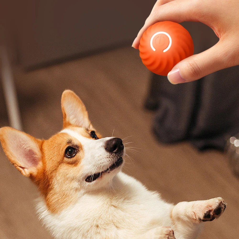 Smart Electric Ball Dog Toys Interactive Pet Toy Automatic Moving Bouncing Rolling Ball USB Charging Dog Toys Dog Accessories